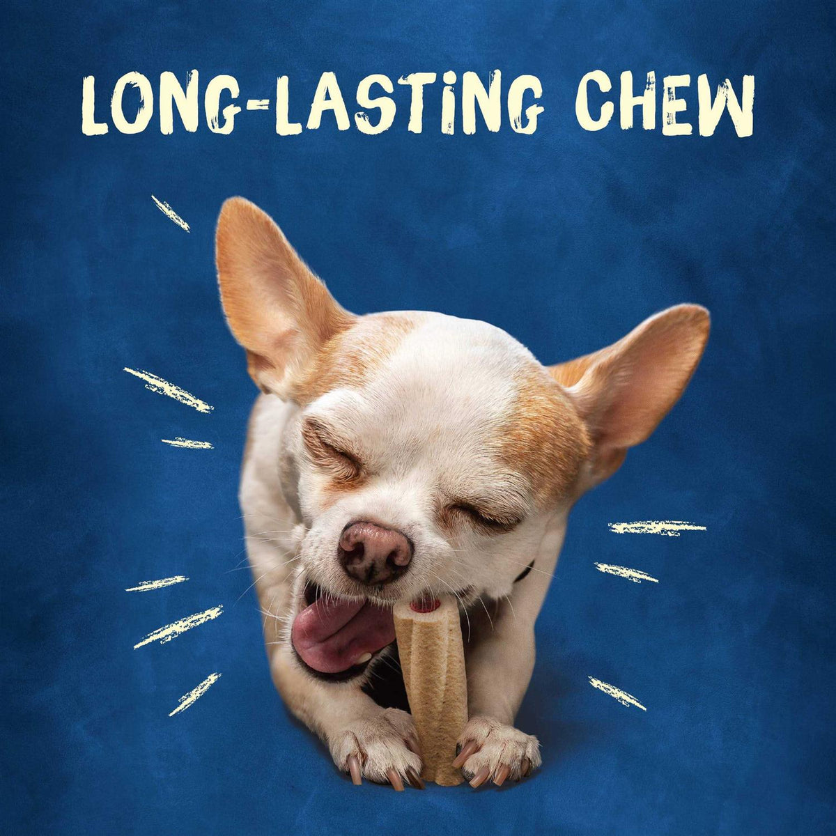 Tiny Dog Treats H142859
