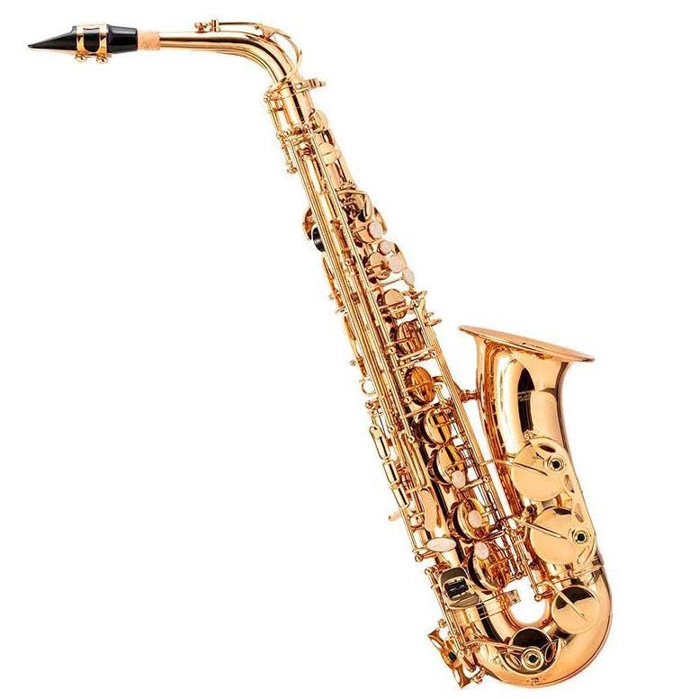 Brass Eb Alto Saxophone Outfit with Mouthpiece and Case C492