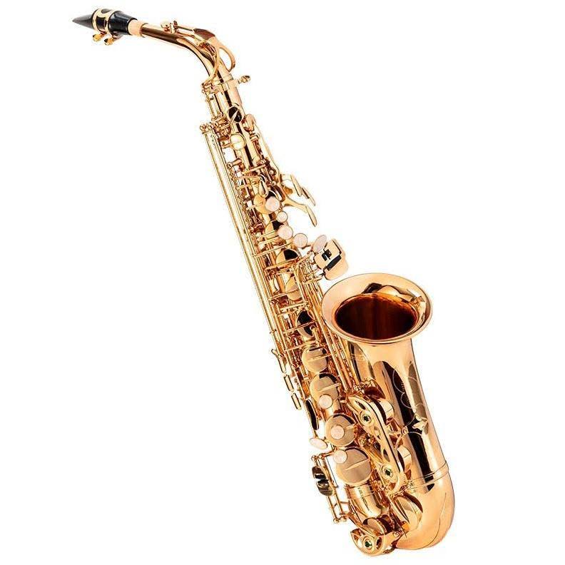 Brass Eb Alto Saxophone Outfit with Mouthpiece and Case C492