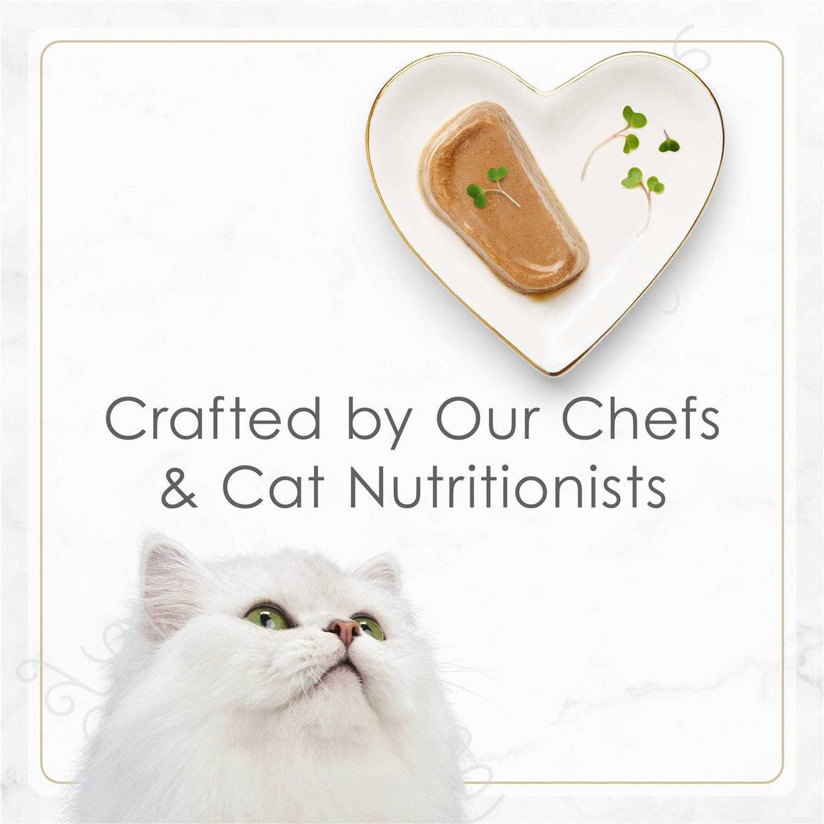 Pate Tender Turkey Entree Wet Cat Food U65617