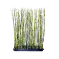 Bamboo Rectangular Hedge G189119